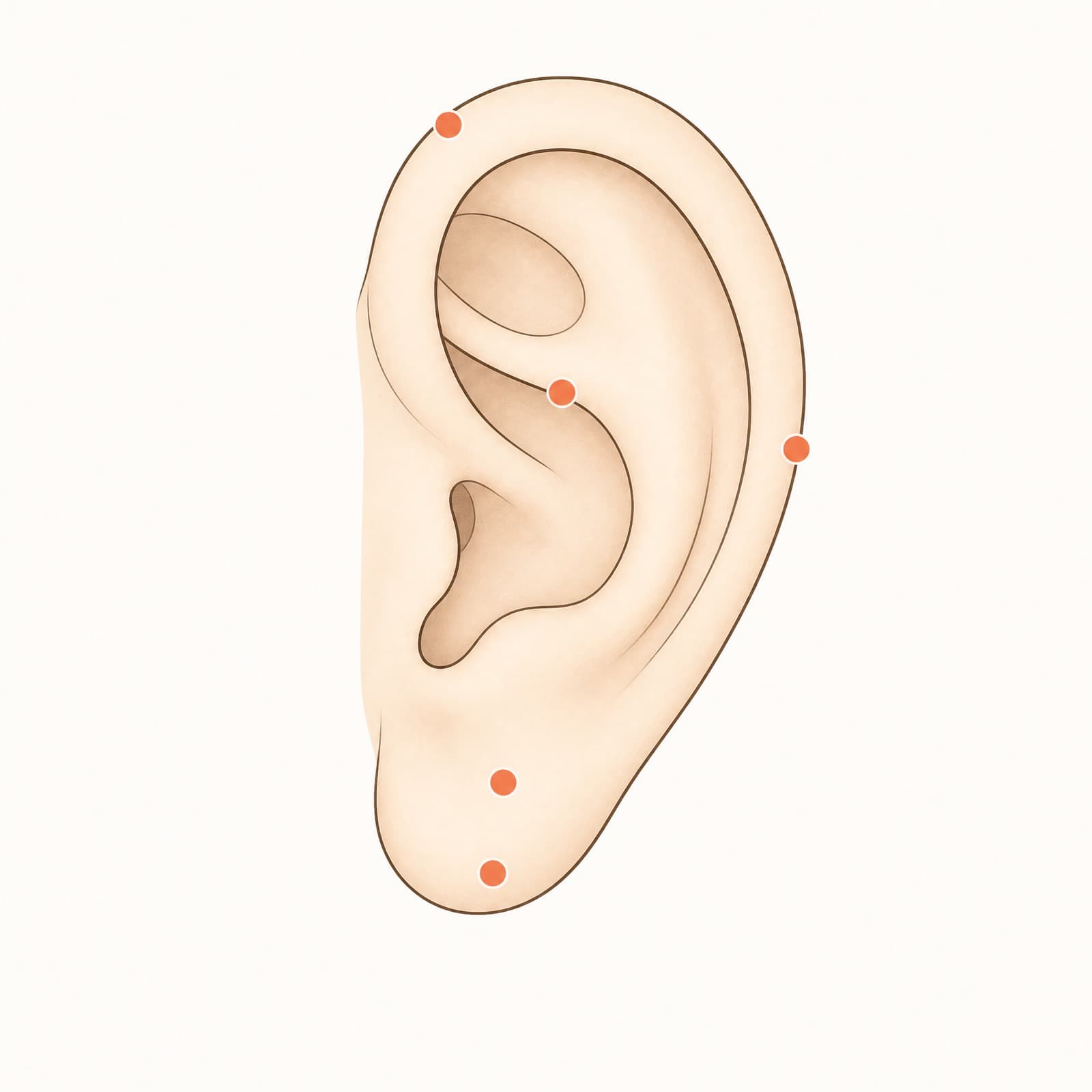 Illustration of an ear in profile with five wearing positions marked